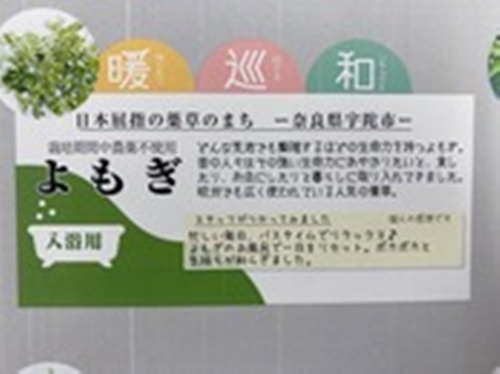 定期便3回 よもぎ 入浴剤 50包 (5包入×10個) / ウェルネスフー