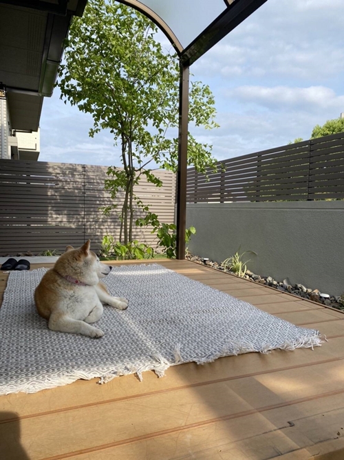 ペットと過ごす アウトドア リビング Type-C ／ ピッツバーグ