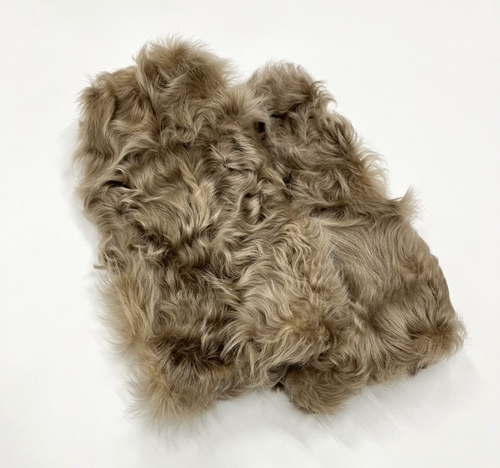 ファー ロングカフス チキャンラム ベージュ ／ 西本毛皮商