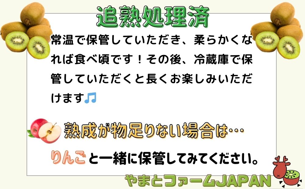 ＜12月以降順次発送＞プレミアム キウイ フルーツ Lサイズ 1