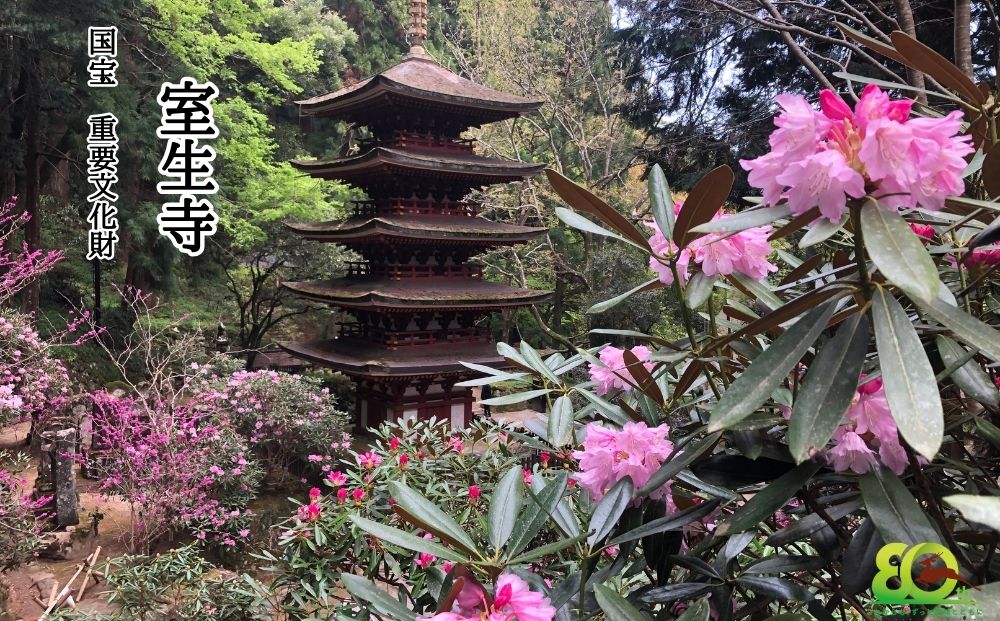 奈良交通 路線バス貸切 宇陀市内観光６時間コース券１枚 / 