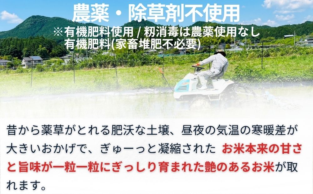 特別栽培米 ＜令和7年産 玄米 3kg＞ / ふるさと納税 栽培期間