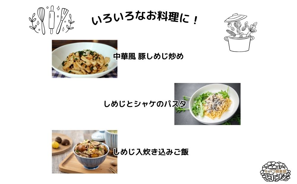 宇陀市産 ぶなしめじ 500g × 5パック/ キノコ倶楽部 しめじ 