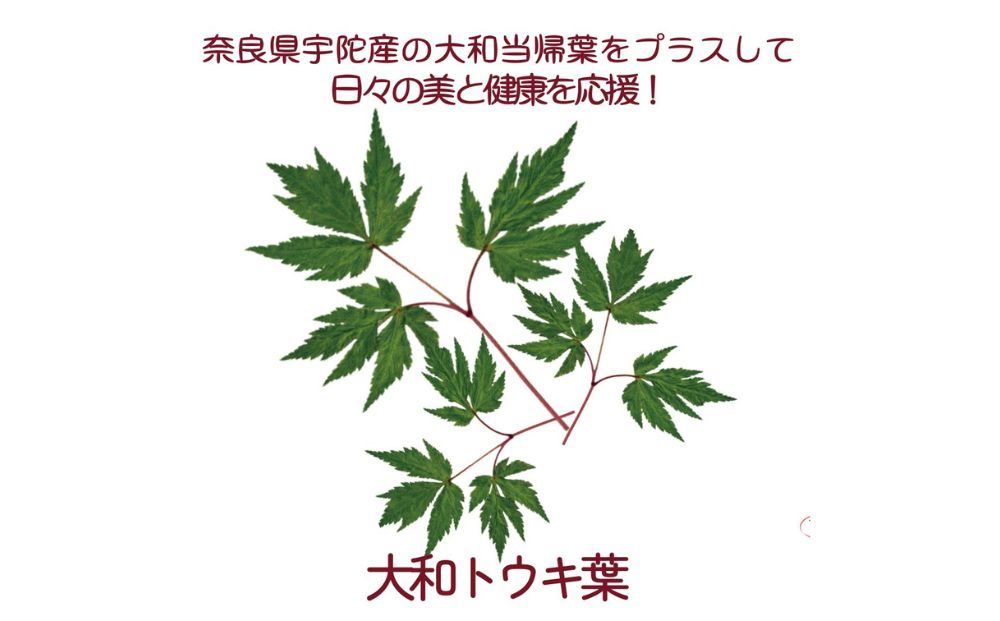 甘口醤油麹と薄口醤油麹（大和トウキ葉入り）と塩麹（大