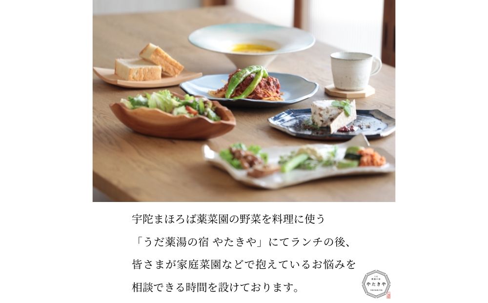 『旬刻旬菜』参加チケット（ペアチケット）家庭菜園のお