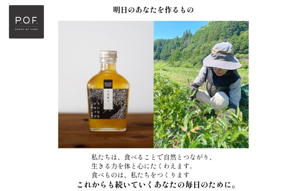 ちになるシロップ ＜大和当帰＞150ml × 2種セット ／POWER OF FO