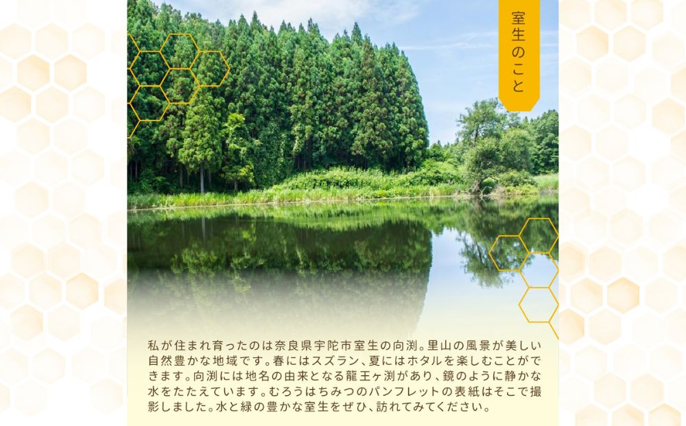 奈良産純粋はちみつ1.2kg×2個(2400g)／ むろうはちみつ 66832 室