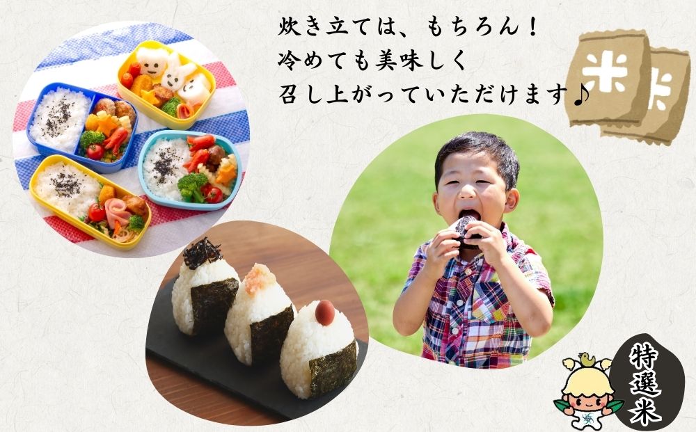 特別栽培 宇陀米ひとめぼれ 5kg【特選米】令和6年産／白米 