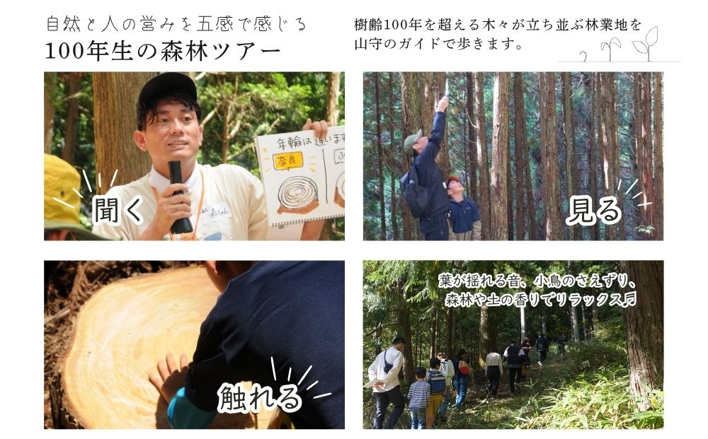 100年生の 森林ツアー ＆ 伝統木工体験 inうだ プレミアム／ 
