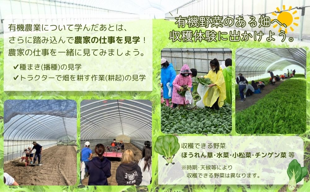 有機農業 就業体験 ツアー お土産付 10名様迄／ 収穫体験 種