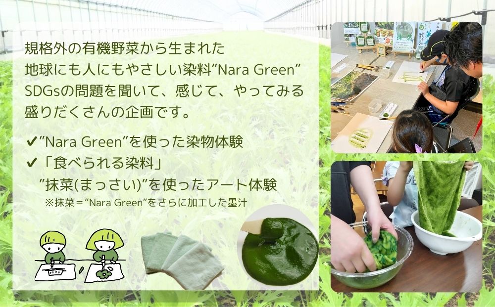 有機農業 染物 アート 体験 お土産付 5名様迄／ 畑見学 食べ