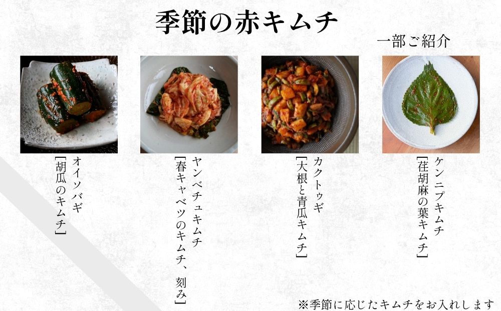 季節野菜のキムチ500g×2種類／ ふるさと納税 キムチ ふるさ