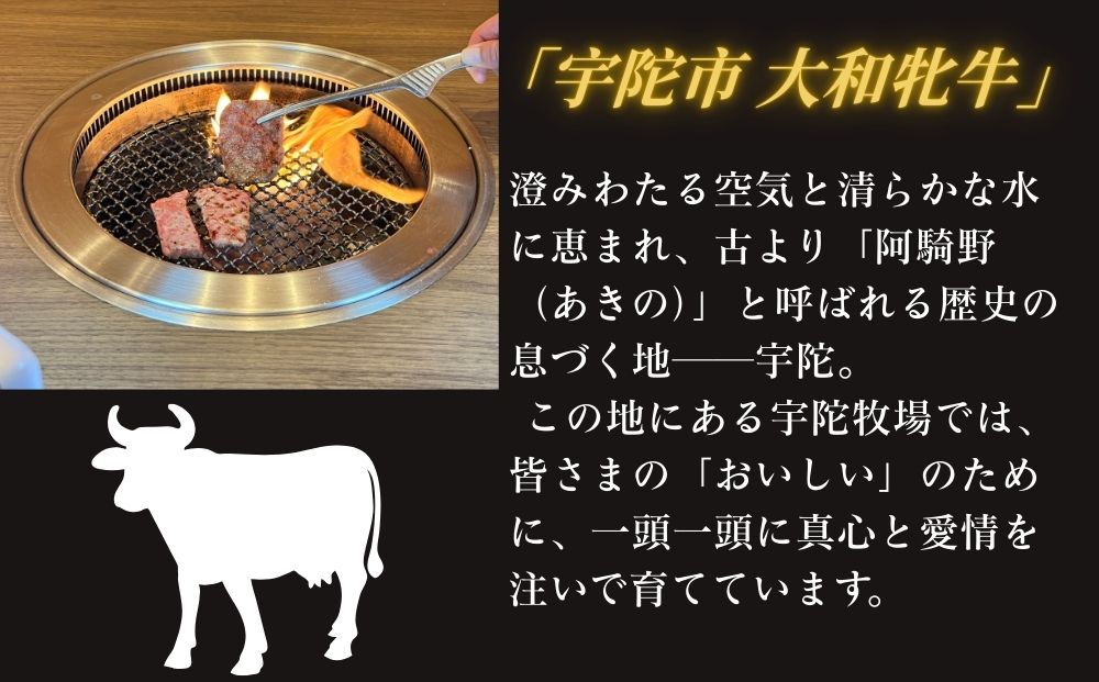 ＜冷凍＞大和牝牛 焼肉用 800g ／太田家 和牛 牛肉 焼肉 お弁