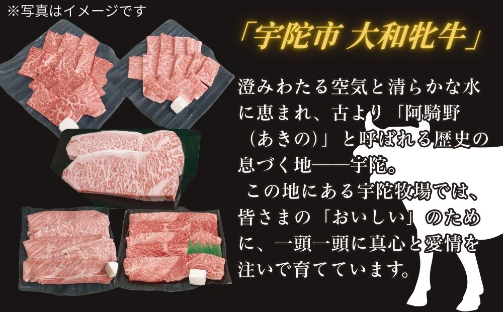 ＜冷凍＞大和牝牛 プレミアムセット 計1.8kg ／太田家 和牛 