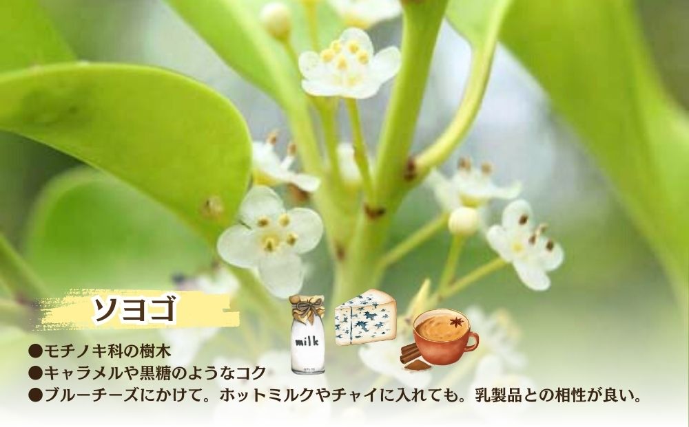 【定期便3回】むろうはちみつ 奈良産 純粋はちみつ そよご 