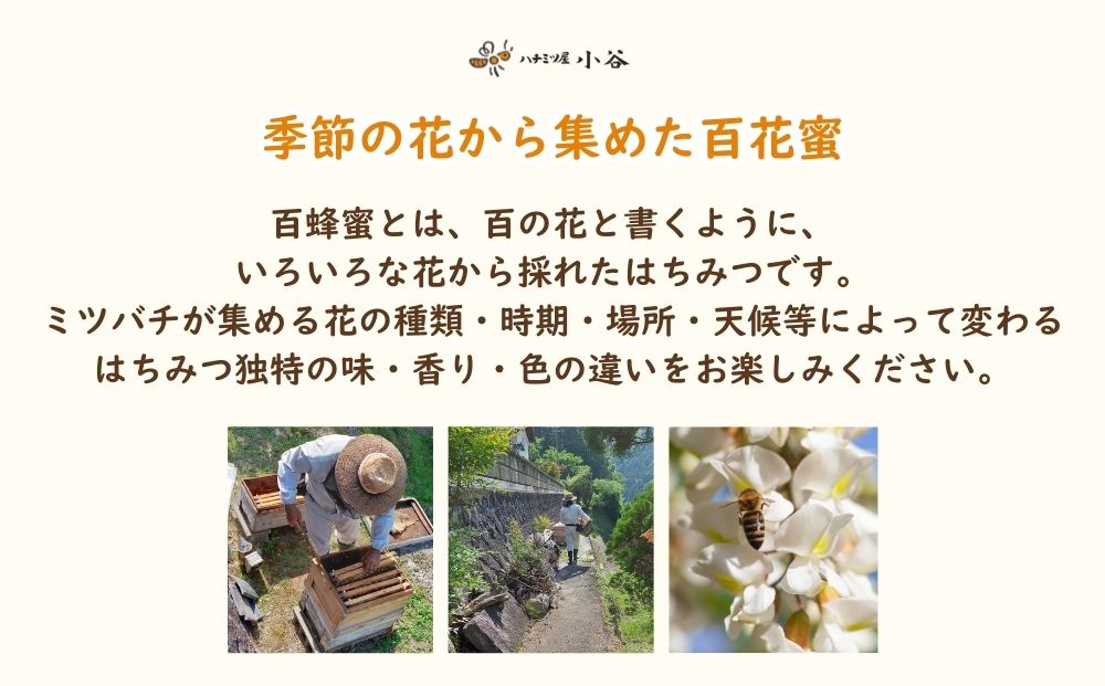 大和純粋はちみつ ギフト セット／ 国産 純粋 百花蜜 蜂蜜 