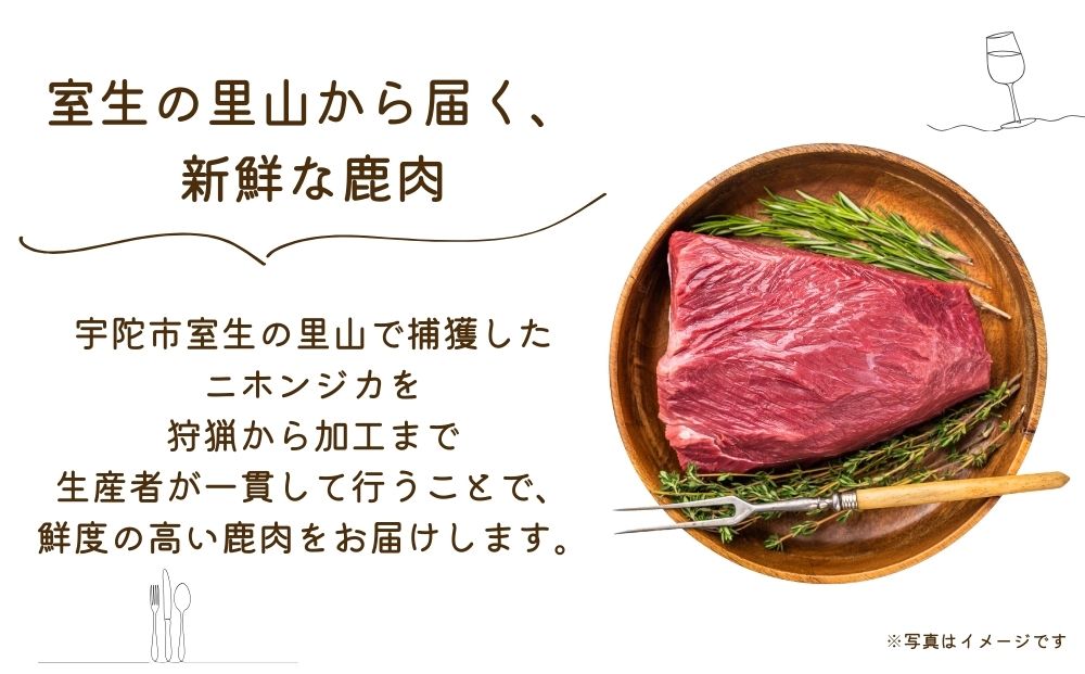 冷凍 塩麹漬け鹿肉 鹿の花 (120g×5袋)／ ジビエ 焼肉 味付き