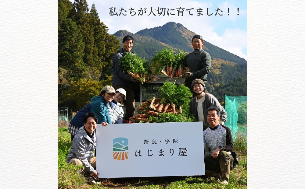 有機人参100％使用 人参ジュース 1000ml×2本 ギフト／ にんじ