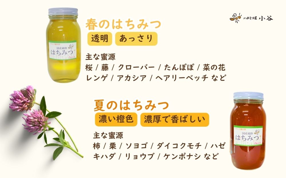 はちみつ 春セット／ 国産 純粋 蜂蜜 ハチミツ ハニー 非加