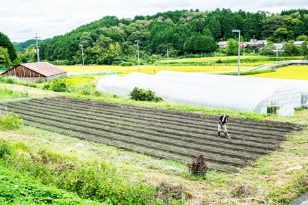 農家の手作りドリンクセット 飲みきりサイズ3種 計12本／ 