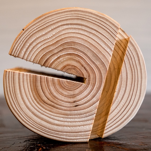 森の丸太スタンド 「SABI」 スマホスタンドとエコバッグセ