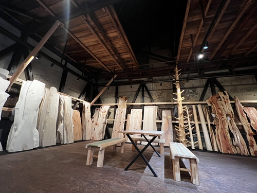 選べる一枚板 招待券 ＜森庄銘木のショールームで、お気に