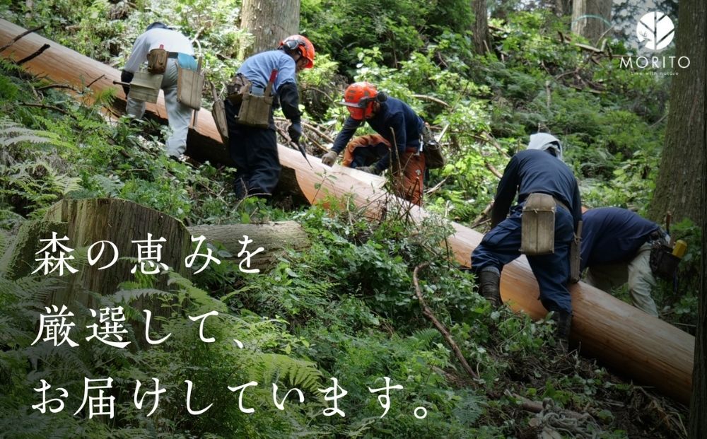 杉のキャンプテーブル／ ロー テーブル 折りたたみ 持ち手