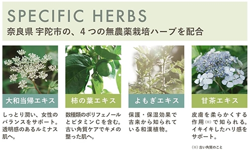 定期便 １２ヶ月 SELALY ルミヌ ジェルオイルクレンジング 月