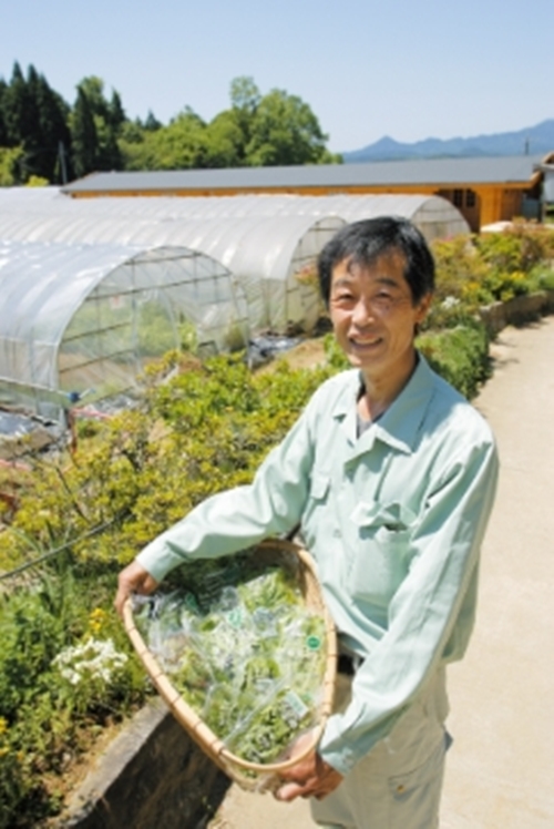 定期便12回 よもぎ & 大和当帰 入浴剤 25包 /ウェルネスフー