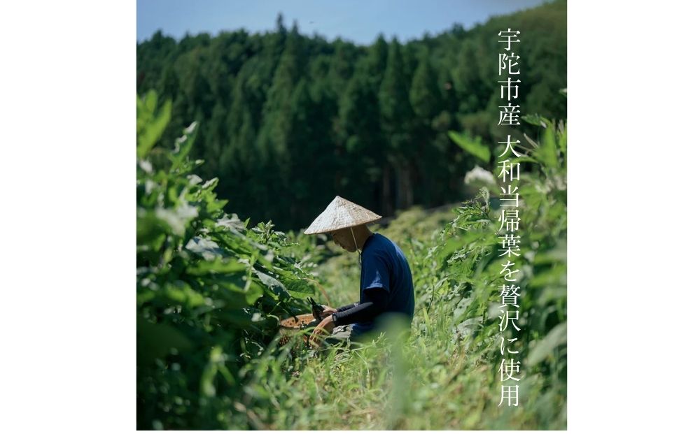 帰楽可楽 大和当帰 コーラシロップ×2本組 ／ なつかしいみ