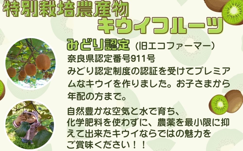 ＜12月以降順次発送＞プレミアム キウイ フルーツ 3L サイズ