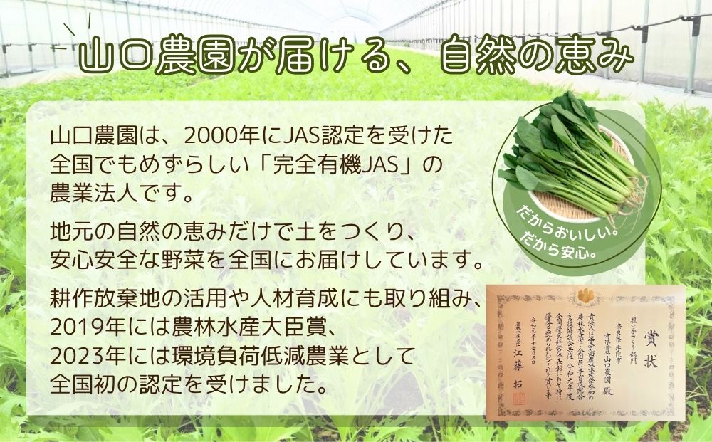 有機農業 就業体験 ツアー お土産付 10名様迄／ 収穫体験 種