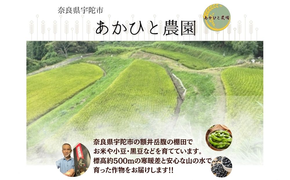 ＜11月中旬以降の発送予定です＞宇陀大納言小豆300g×2袋（2L