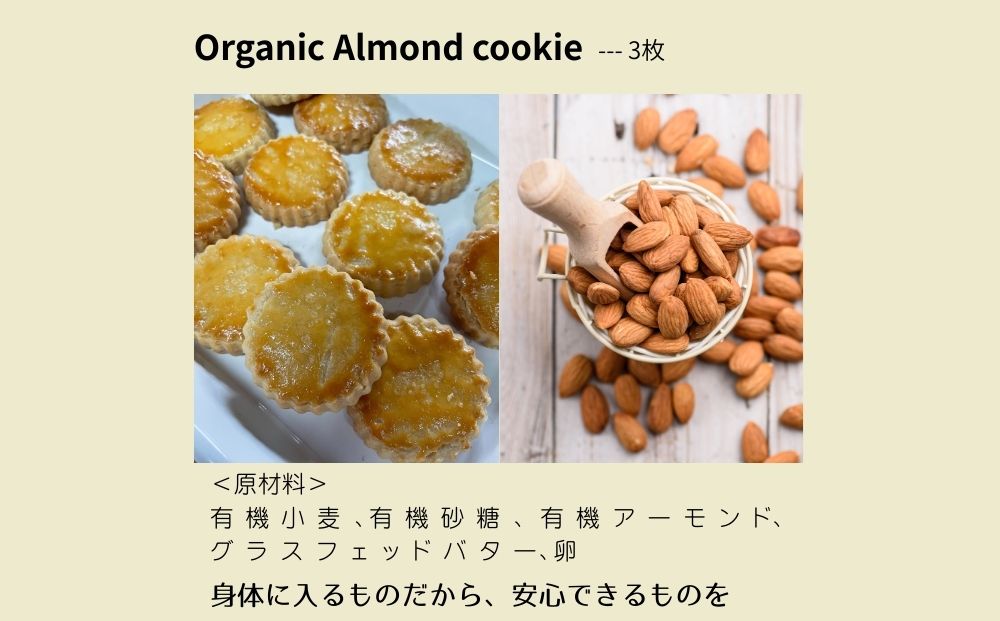 宇陀の午後のお茶セット (化粧箱入り) ／ ふるさと納税 ハ