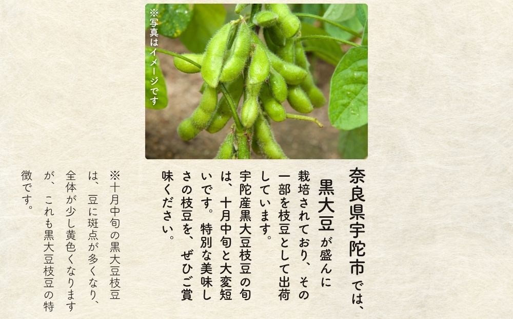 ＜10月中旬～下旬発送＞宇陀 黒大豆 えだまめ 合計約2.5kg (5