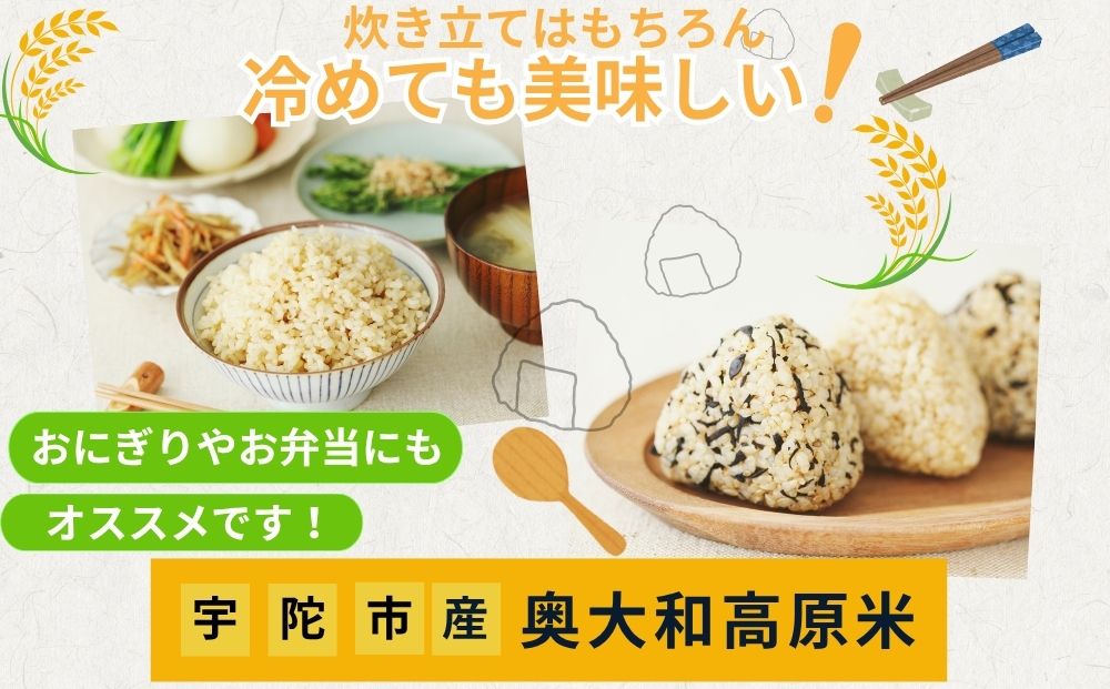 特別栽培米 ＜令和7年産 白米 4.25kg＞ / ふるさと納税 栽培期