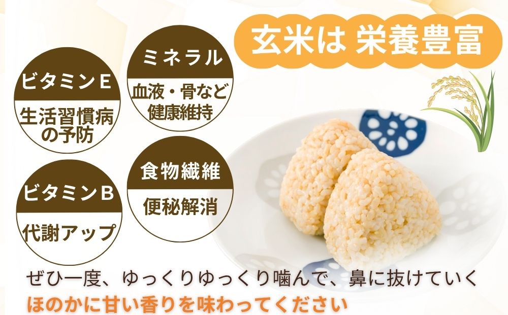 【定期便3回】ひとめぼれ 低農薬栽培＜令和7年産 玄米 20kg 