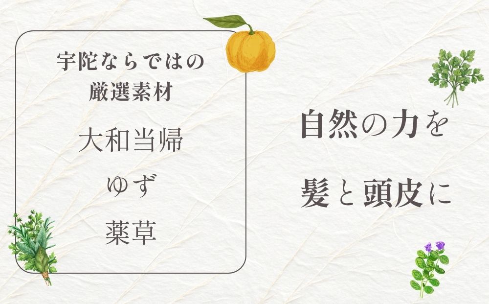 大和当帰美人 髪だより EXTEシャンプー ボトル300ml ＆ 詰め替