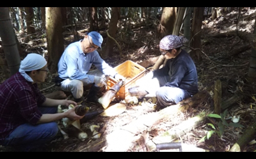 神饌タケノコ １ｋｇ×２【2026年5月発送分】