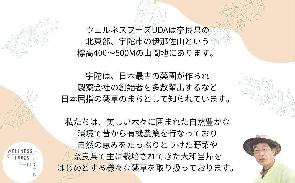 大和当帰 入浴剤 25包（1袋 5包入×5個) / ふるさと納税 おす
