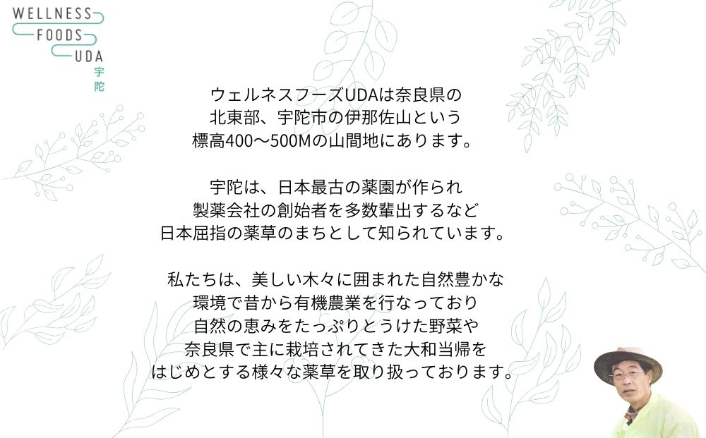 定期便6回 大和当帰 入浴剤 25包 (5包入×5個) /ウェルネスフ
