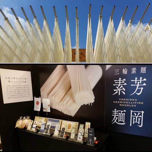 三輪素麺 三色くだもの麺 個包装 250g 2袋 (50g×5束) ／ 芳岡 