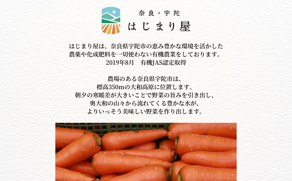 有機人参100％使用 人参ジュース 1000ml×6本／ にんじん 有機
