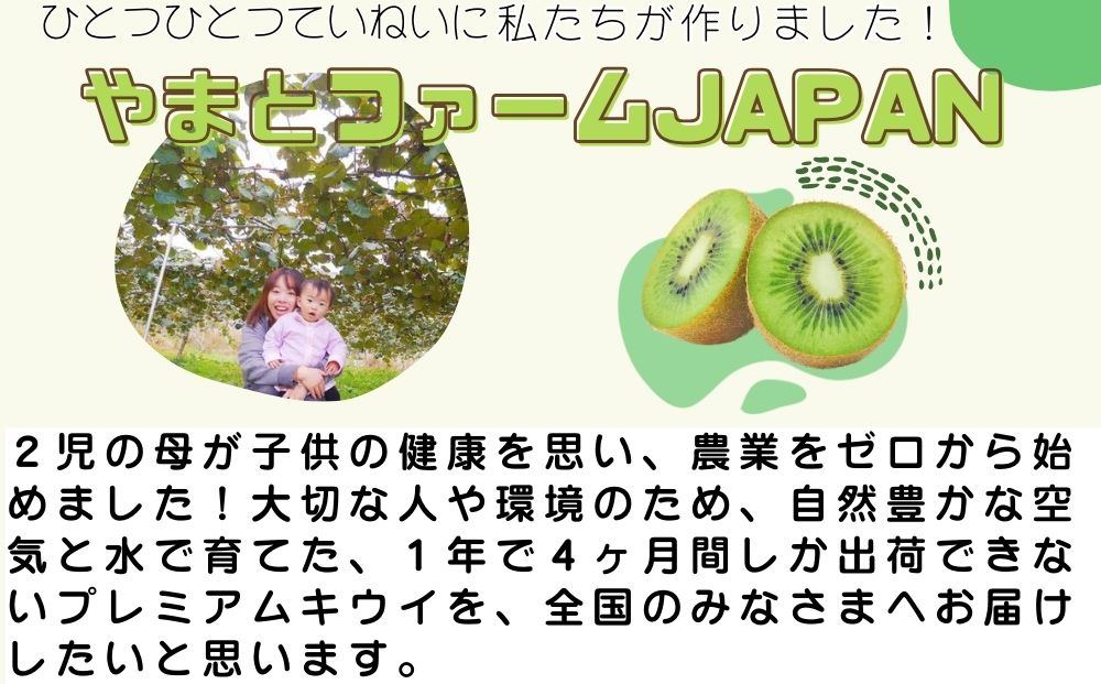 ＜12月以降順次発送＞プレミアム キウイ フルーツ Lサイズ 1