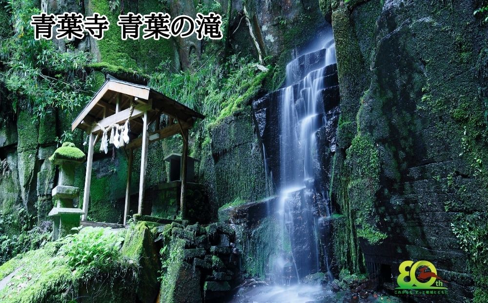 奈良交通 路線バス貸切 宇陀市内観光６時間コース券１枚 / 