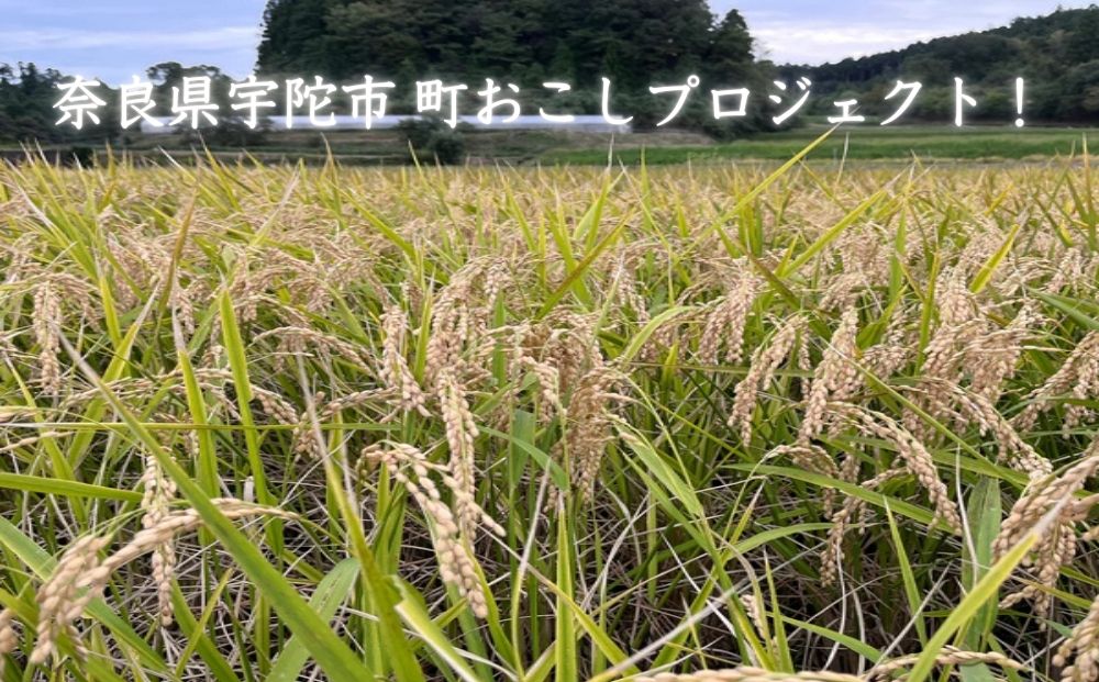 純米大吟醸 KASAMA 720ml 宇陀市産吟のさと使用 （常温便）/ う