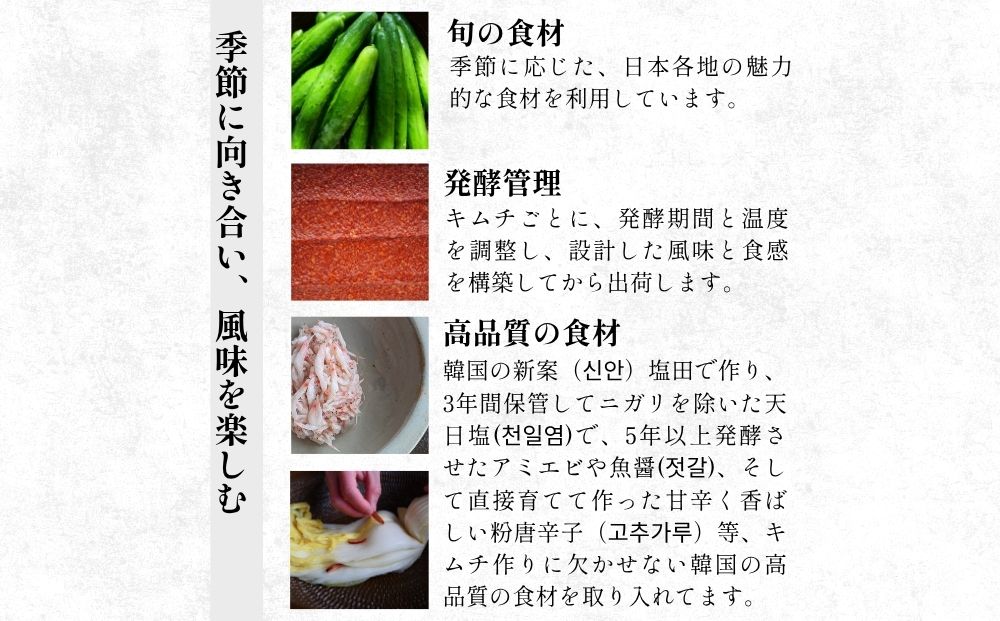 季節野菜のキムチ500g×2種類／ ふるさと納税 キムチ ふるさ