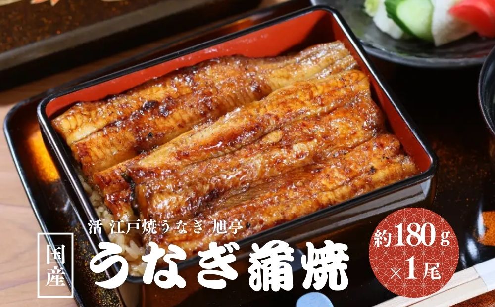 国産 うなぎ蒲焼 約180g×1尾 冷凍／ 鰻 うなぎ 蒲焼 鰻屋 う