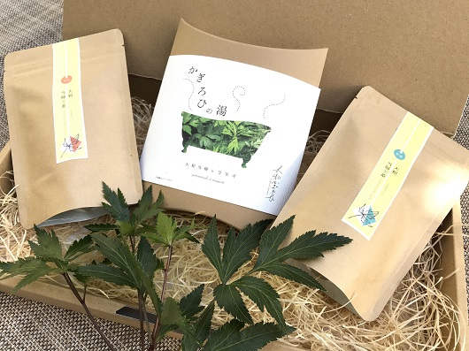 大和当帰 ギフトパック / 大和かぎろひ 当帰葉 ヨモギ 入浴
