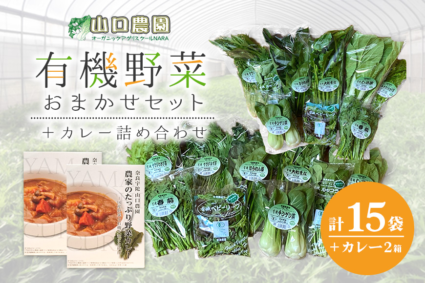 （チルド）山口農園 有機野菜 おまかせセット ＋ カレー２
